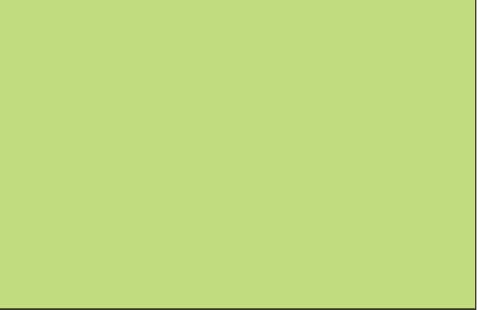 5040-Bright Green BSL 8x4